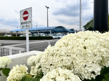 梅雨明けまであと…